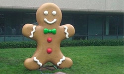 gingerbread