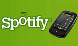 spotify palm