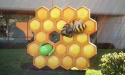 android honeycomb