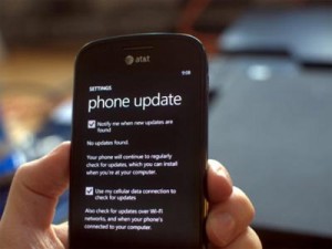 smartphone avec paramètre mise à jour windows phone 7